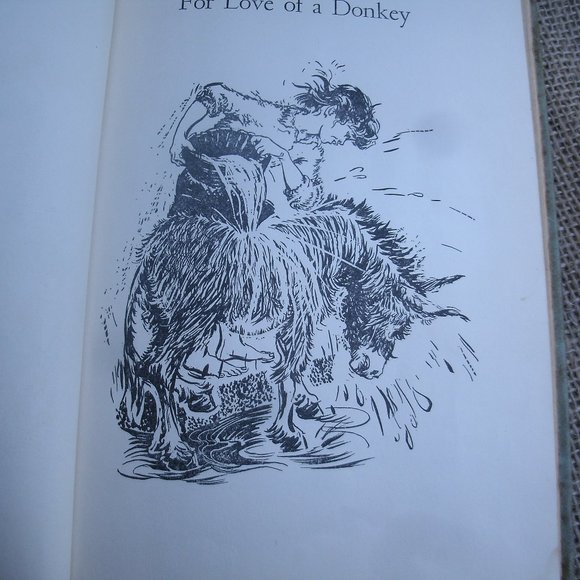For Love of a Donkey by Betty Morgan Bowen - Picture 9 of 16